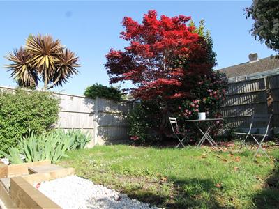 Picture 15
